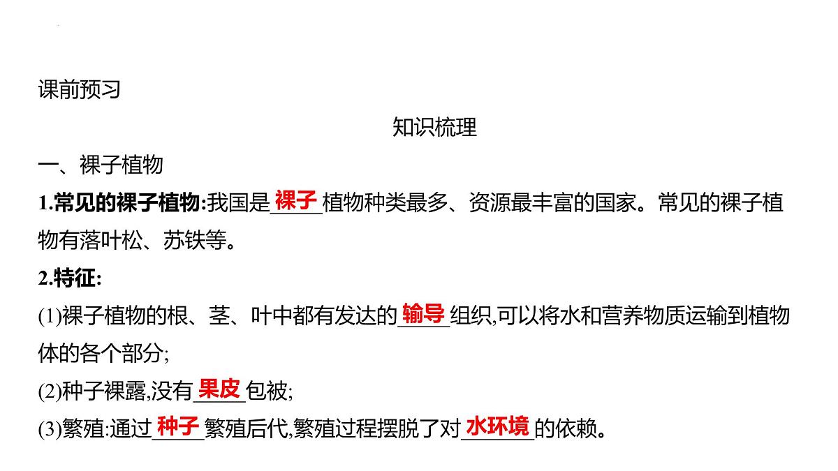 2.3.2种子植物+课件－2024－2025学年苏教版生物七年级上册第2页