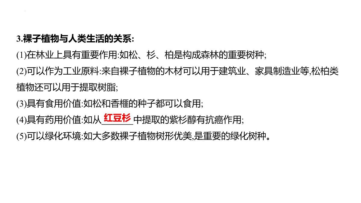 2.3.2种子植物+课件－2024－2025学年苏教版生物七年级上册第3页