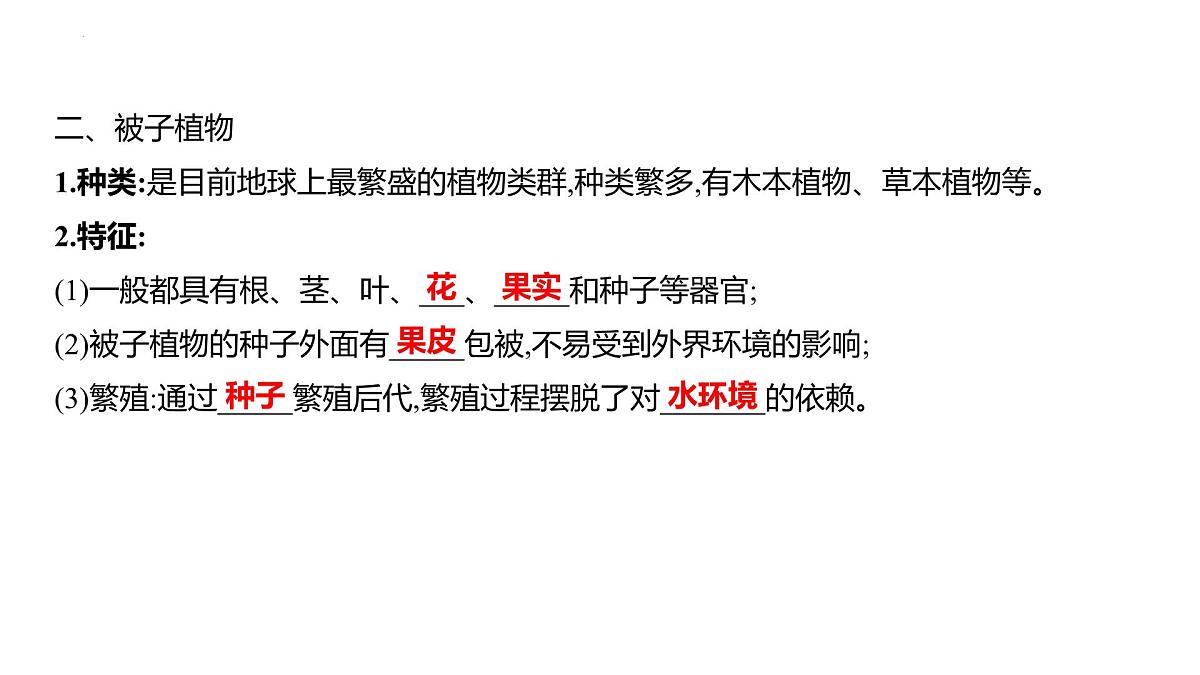 2.3.2种子植物+课件－2024－2025学年苏教版生物七年级上册第4页
