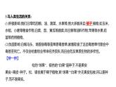 2.3.2種子植物+課件－2024－2025學年蘇教版生物七年級上冊
