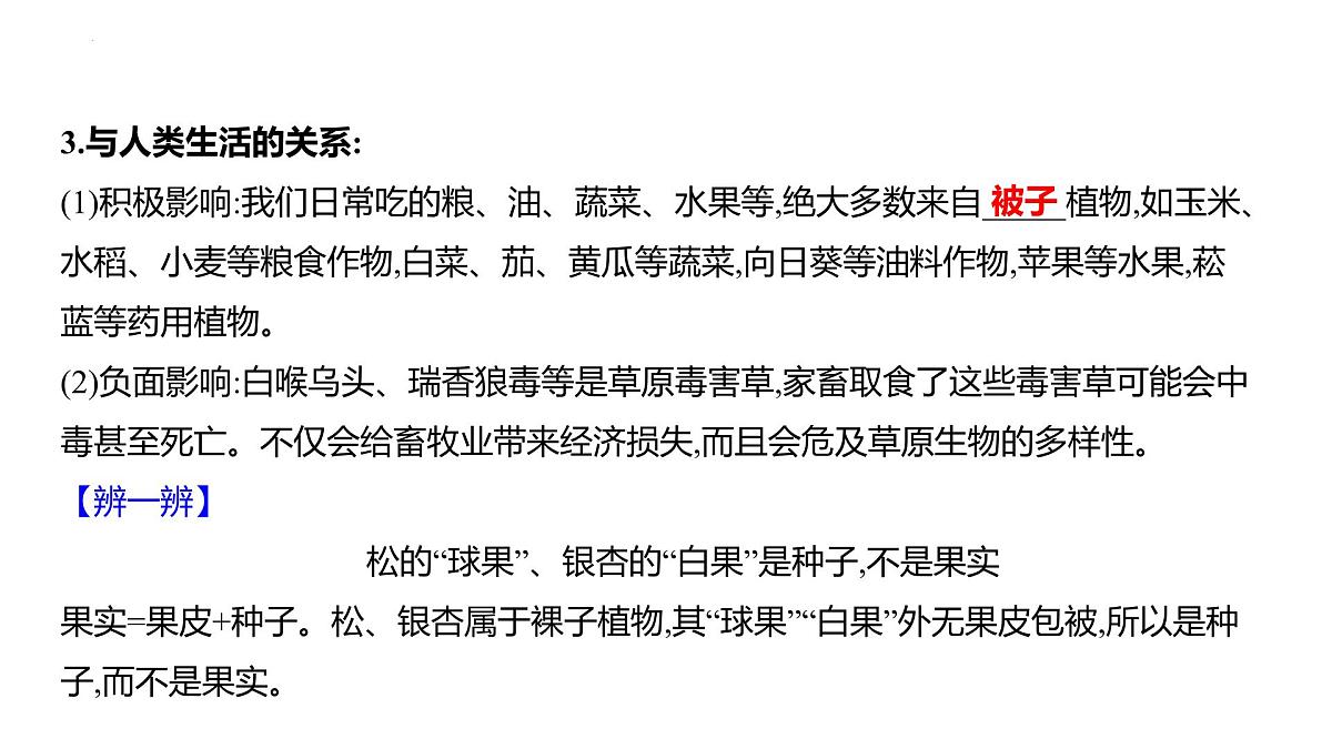 2.3.2种子植物+课件－2024－2025学年苏教版生物七年级上册第5页