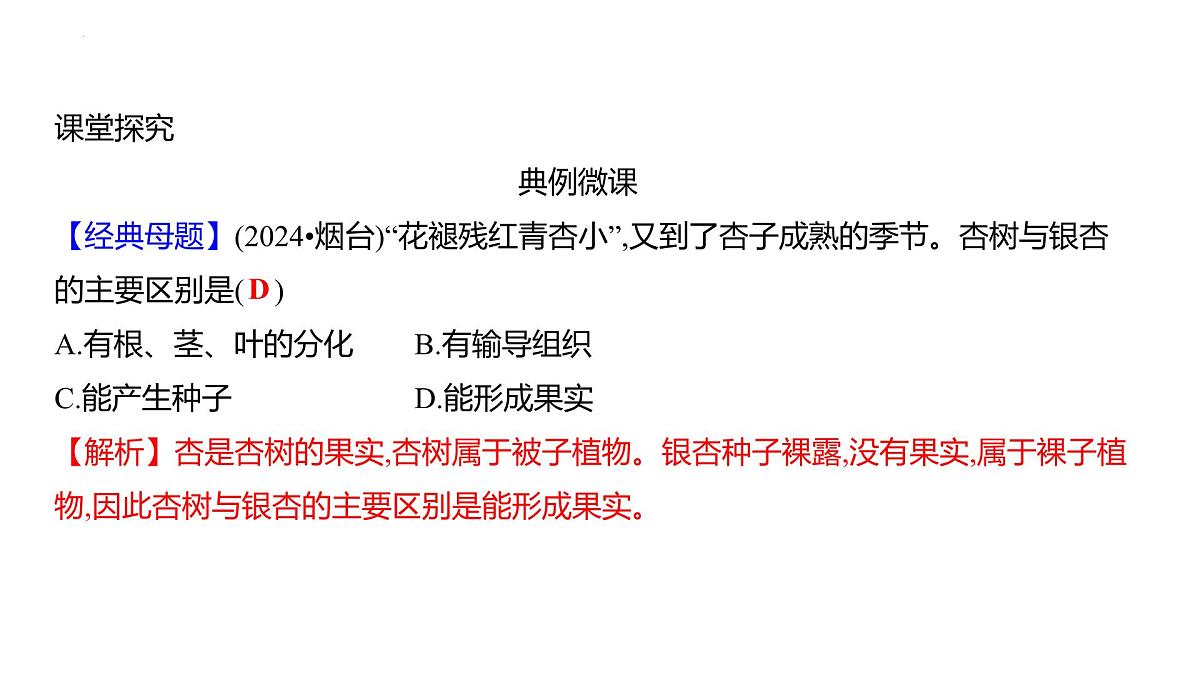 2.3.2种子植物+课件－2024－2025学年苏教版生物七年级上册第6页