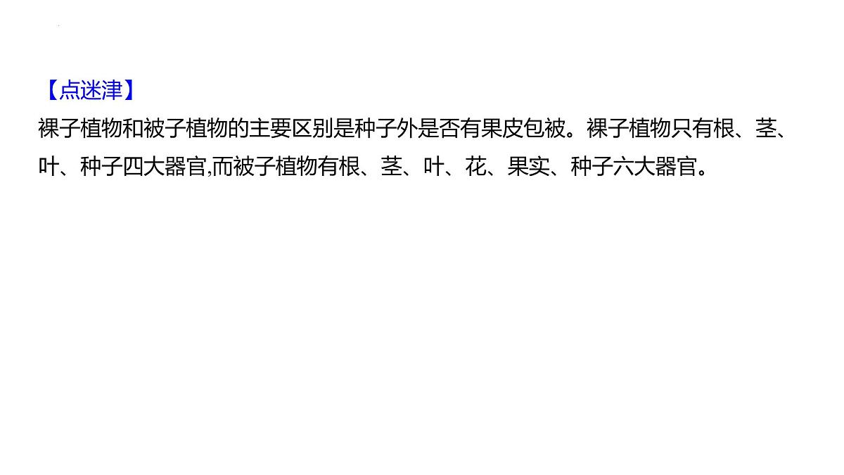 2.3.2种子植物+课件－2024－2025学年苏教版生物七年级上册第7页