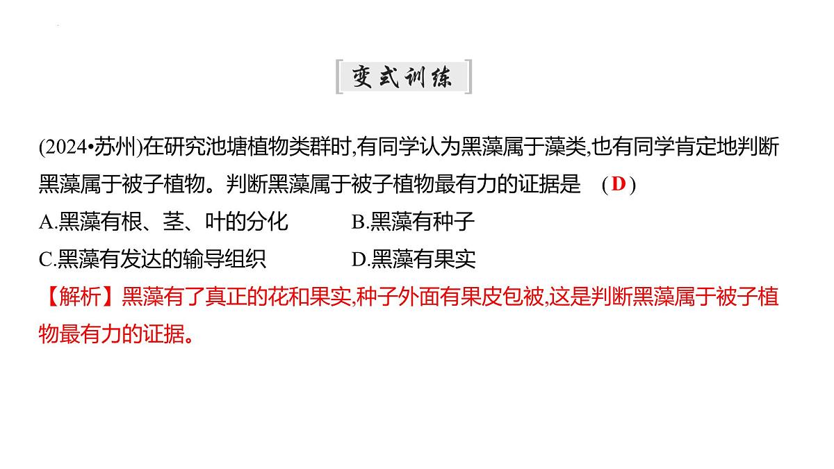 2.3.2种子植物+课件－2024－2025学年苏教版生物七年级上册第8页