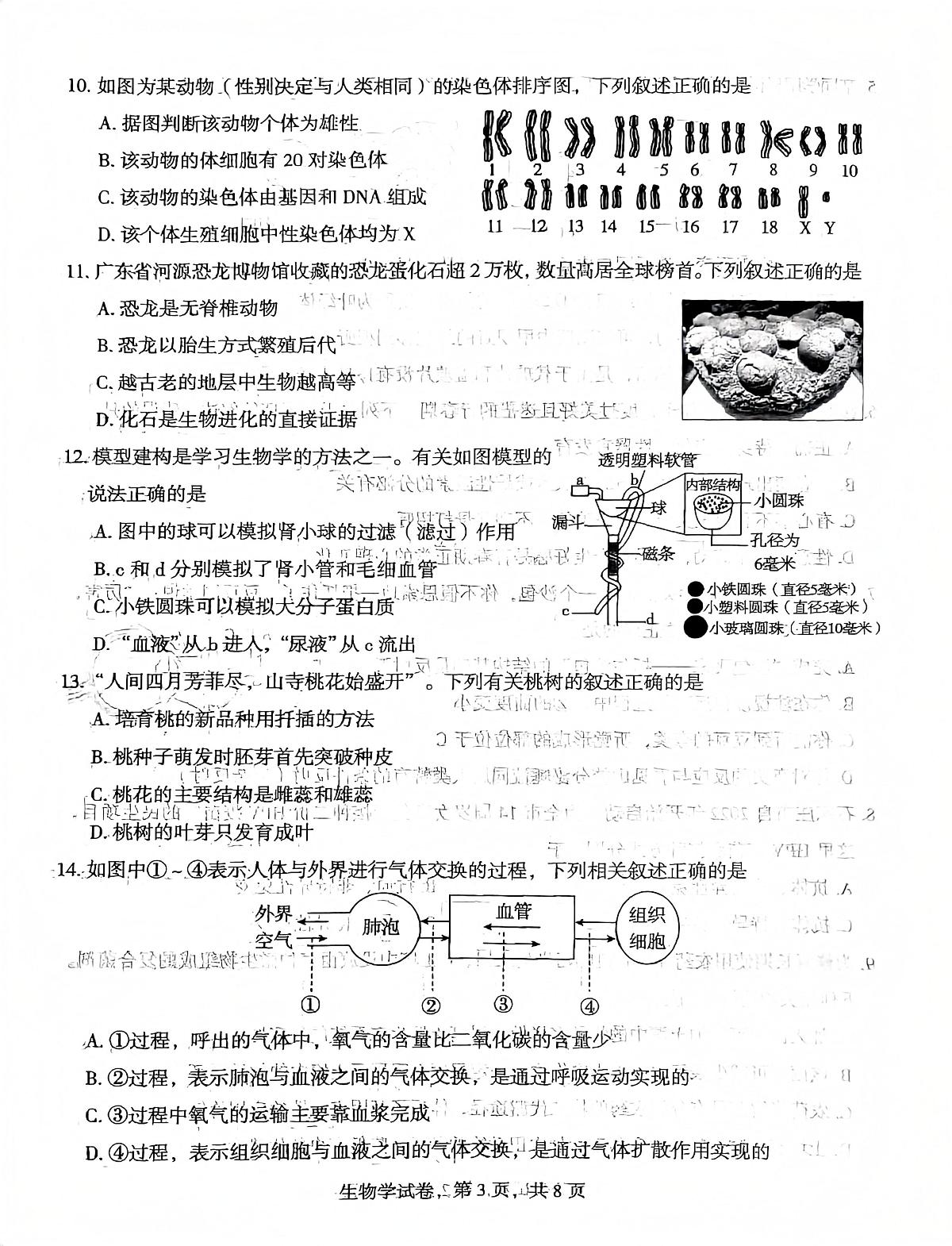 2025年河北省石家庄市八年级二模生物试题第3页