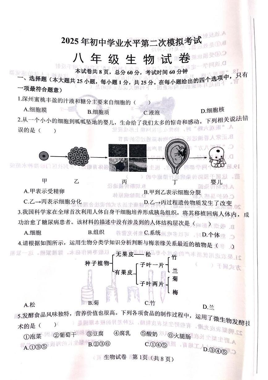 2025年河北省邯郸市成安县八年级二模生物试题第1页