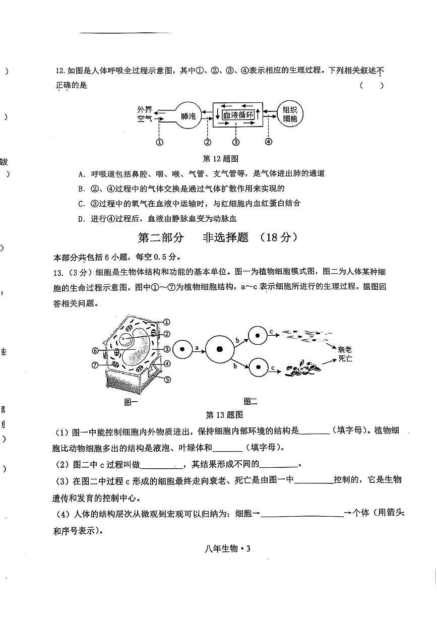 2025沈北新区生物二模试卷 2025沈北新区生物二模试卷第3页