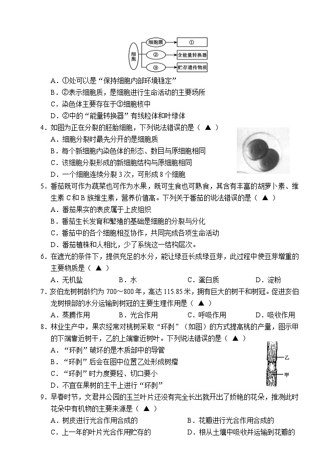 2025年八年级摸底训练生物试题第2页