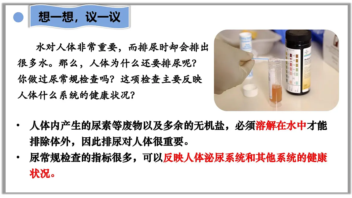 4.5人体内废物的排出课件-2024-2025学年人教版生物七年级下册第3页