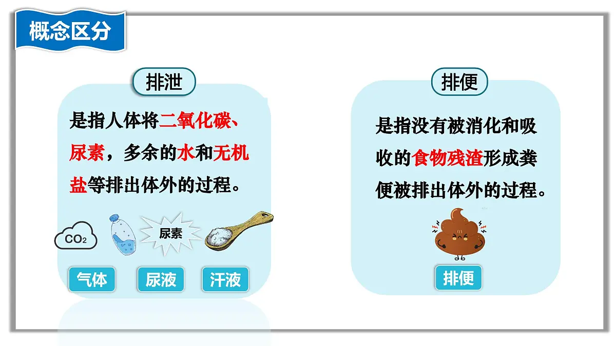 4.5人体内废物的排出课件-2024-2025学年人教版生物七年级下册第4页