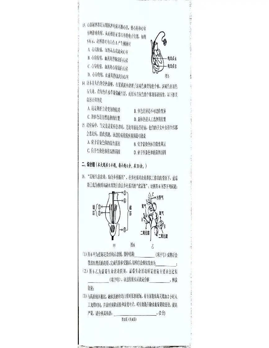 2025年广西柳州市八年级生物第二次中考模拟考试卷（中考模拟）第3页