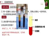 4.4.1+流動的組織—血液課件-2024--2025學年人教版生物七年級下冊