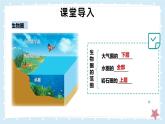 1.1.1形形色色的生物——初中生物學(xué)北師大版（2024）七年級上冊課件