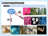 1.1.1形形色色的生物——初中生物學(xué)北師大版（2024）七年級上冊課件
