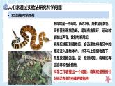 1.1.3生物學(xué)研究的基本方法——初中生物學(xué)北師大版（2024）七年級上冊課件