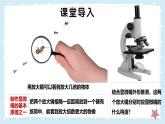 2.2.1細(xì)胞的基本結(jié)構(gòu)和功能-第1課時(shí)——初中生物學(xué)北師大版（2024）七年級(jí)上冊(cè)課件
