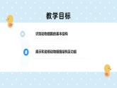 2.2.1細(xì)胞的基本結(jié)構(gòu)和功能-第2課時(shí)——初中生物學(xué)北師大版（2024）七年級(jí)上冊(cè)課件
