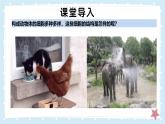 2.2.1細(xì)胞的基本結(jié)構(gòu)和功能-第2課時(shí)——初中生物學(xué)北師大版（2024）七年級(jí)上冊(cè)課件
