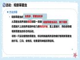 2.2.2細(xì)胞是生命活動的單位-第1課時——初中生物學(xué)北師大版（2024）七年級上冊課件