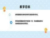 2.2.2細(xì)胞是生命活動的單位-第2課時——初中生物學(xué)北師大版（2024）七年級上冊課件
