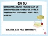 2.2.2細(xì)胞是生命活動的單位-第2課時——初中生物學(xué)北師大版（2024）七年級上冊課件