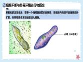 2.2.2細(xì)胞是生命活動的單位-第2課時——初中生物學(xué)北師大版（2024）七年級上冊課件