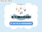 2.3.2細(xì)胞分化形成組織——初中生物學(xué)北師大版（2024）七年級上冊課件