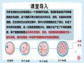 2.3.2細(xì)胞分化形成組織——初中生物學(xué)北師大版（2024）七年級上冊課件