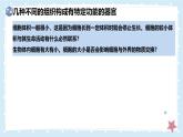 2.3.3生物體的器官、系統(tǒng)——初中生物學(xué)北師大版（2024）七年級上冊課件