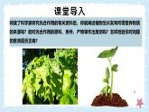 3.4.1光合作用-第2課時——初中生物學(xué)北師大版（2024）七年級上冊課件