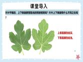 3.4.1光合作用-第3課時——初中生物學(xué)北師大版（2024）七年級上冊課件