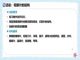 3.4.1光合作用-第3課時——初中生物學(xué)北師大版（2024）七年級上冊課件