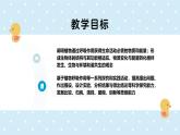 3.4.2呼吸作用——初中生物學(xué)北師大版（2024）七年級上冊課件