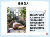 3.4.2呼吸作用——初中生物學(xué)北師大版（2024）七年級上冊課件