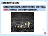 3.4.2呼吸作用——初中生物學(xué)北師大版（2024）七年級上冊課件