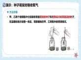 3.4.2呼吸作用——初中生物學(xué)北師大版（2024）七年級上冊課件