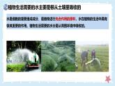 3.4.3吸收作用-第1課時——初中生物學(xué)北師大版（2024）七年級上冊課件