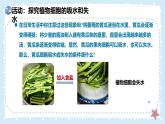 3.4.3吸收作用-第1課時——初中生物學(xué)北師大版（2024）七年級上冊課件