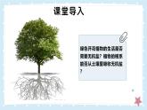 3.4.3吸收作用-第2課時——初中生物學(xué)北師大版（2024）七年級上冊課件