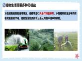 3.4.3吸收作用-第2課時——初中生物學(xué)北師大版（2024）七年級上冊課件