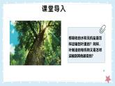 3.4.4運(yùn)輸作用——初中生物學(xué)北師大版（2024）七年級上冊課件