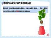 3.4.4運(yùn)輸作用——初中生物學(xué)北師大版（2024）七年級上冊課件