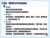 3.4.4運(yùn)輸作用——初中生物學(xué)北師大版（2024）七年級上冊課件