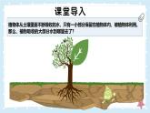 3.4.5蒸騰作用——初中生物學(xué)北師大版（2024）七年級上冊課件