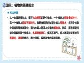 3.4.5蒸騰作用——初中生物學(xué)北師大版（2024）七年級上冊課件