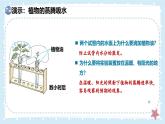 3.4.5蒸騰作用——初中生物學(xué)北師大版（2024）七年級上冊課件