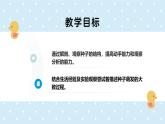 3.5.1種子萌發(fā)形成幼苗-第1課時——初中生物學(xué)北師大版（2024）七年級上冊課件