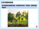 3.5.1種子萌發(fā)形成幼苗-第1課時——初中生物學(xué)北師大版（2024）七年級上冊課件