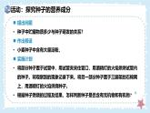 3.5.1種子萌發(fā)形成幼苗-第2課時——初中生物學(xué)北師大版（2024）七年級上冊課件