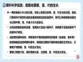 3.5.2營養(yǎng)器官的生長——初中生物學(xué)北師大版（2024）七年級上冊課件